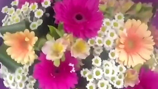 Extreme in the Car, Hot Blowjob, and Lots of Cum