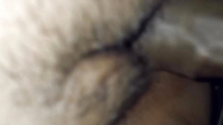 Desi Bhabhi chikani chut