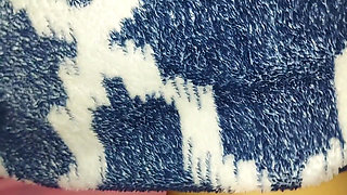 Xxx Desi - cute stepsister caught red-handed while watching porn on her stepbrother's mobile, her pussy