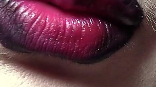 Nicotine Nebula Obedience Training