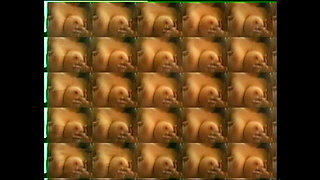 Melissa the Girl with the Pointy Tits