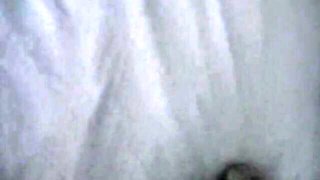 Pornstar's cum shot clip by My GF