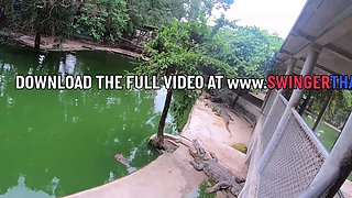 Crocodile feeding and pussy pleasing