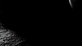 Blossom in the Gutter