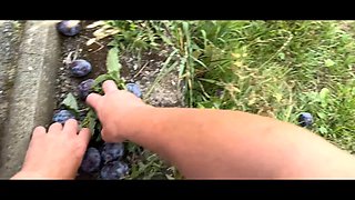 Hunt4k. aggressive sex with a stranger is the greatest medicine instead of fruits