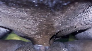 Mallu Step Sister Fucked by Step Brother