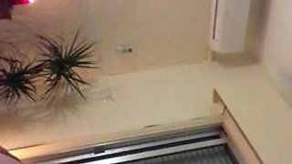 Perfect tits blonde slut blowing and riding dick: Big Tits, Blowjob  Amateur Porn