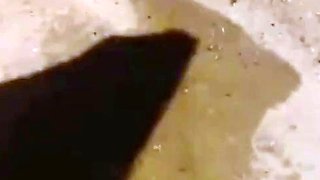 Asian japanese Hardcore amateur