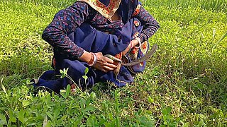 Milking in the Field