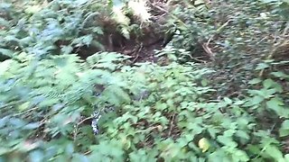 We Have Sex In The Garden Of Eden And Nearly Got Caught