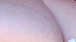 Bringing My Milkers on a Walk. Enjoying the View?