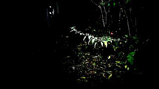 Olivia Ryder Blonde Blowjob Brunette Car Handjob