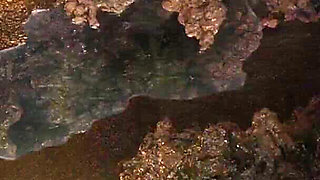 Naughty Trap for a Virgin