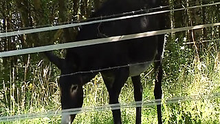 Chocolate French bitch shares dicks with hot slut outdoors