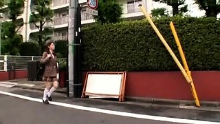 Around The City In A Bus