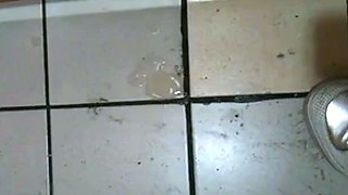 Korean Amateur Sucks Cock in Bathroom Gloryhole