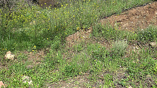 This American Woman Is Crazy!!! She Buys a Dirty Used Dildo on the Black Market in a Muslim Country!!!