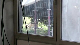 The Outdoor Fuck