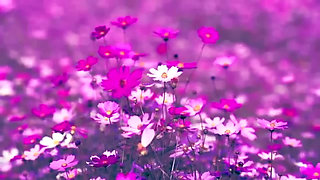 New Bangla Choti Golpo 2025