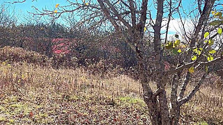 Pissing Pussy in Cold Weather Outside