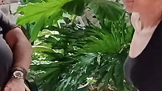 Gardening
