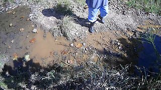 Mountainmama Playing in Creek