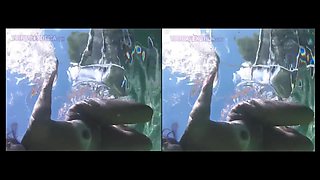 Pawg Milf Nude Underwater & Body Worship - Skinny Dipping Pool Naked Shaved