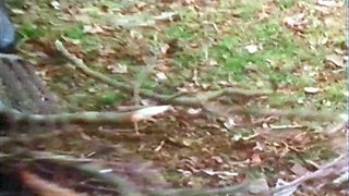 hot amateur french hardcore fucked HD video