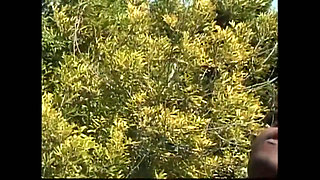 Young Black Girl Fucked Doggy Style and Cum on Tits by Monster Black Cock