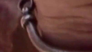 Insatiable Curly MILF Takes Every BBC Outdoors