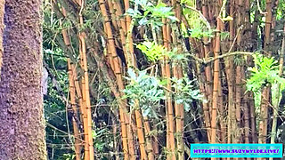 Sfw Road Trip to Hana for Suzy Wylde in Waimoku Falls, Maui