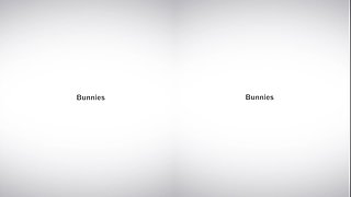 Bunny game