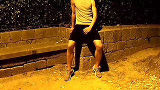 Crusing in a Public Park at Night - Getting Naked