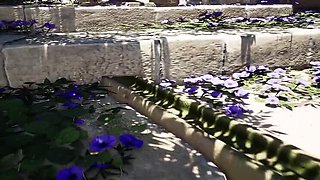 Sunny Hentai Part 3: Lara Croft Big Tits Anal Fuck - Complete 3D Animation