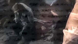 Amateur brunette babe oral and hardcore sex