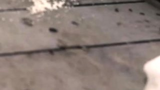 Amateur MILF Cumshot Compilation