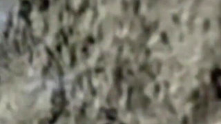 Sexy Transparent Platform Toes of Empressbellasadic