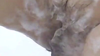 Hairy Pussy Became Shaved Bald