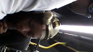 Brain's Blowjob on the Bus