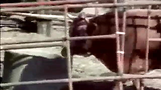 Classic Porn Dvds: Weekend Cowgirl: Part 1