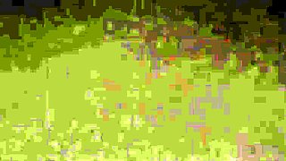 Amateur Asian Girl With Small Tits