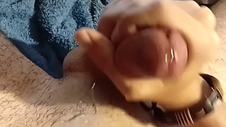 Look at this big cum, any ny girls?