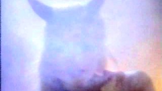 Blonde With Natural Big Boobs Loves Putting A Toy In Her