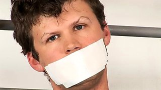 Femdom fetish bdsm mistress hoes