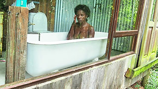 Untamed in the Treetops