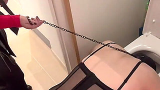 Head in the Toilet...