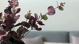 Fucking My Horny Stepmom with Big Tits While My Wife Cooking Dinner in the Kitchen