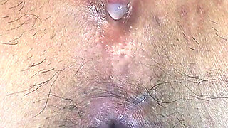 Peering From Beneath the Toilet Bowl