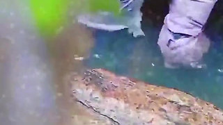 Hot Girl Bathing & Fucking