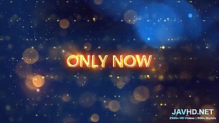 Delicate japanese tits vol 11